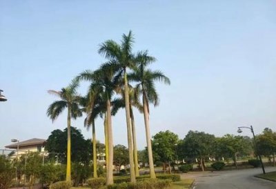 ​现在的人为什么得病的多(为什么现在越来越容易生病)