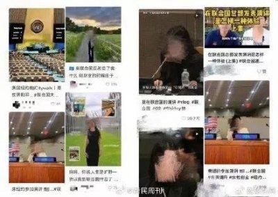 ​网红花26美元打卡联合国 营造精英人设