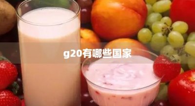 ​g20有哪些国家(g20哪二十个国家)