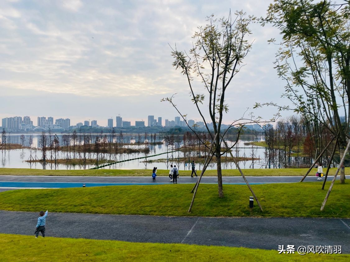 成都富人住宅区是哪里（成都富人区分布在哪里）(图12)