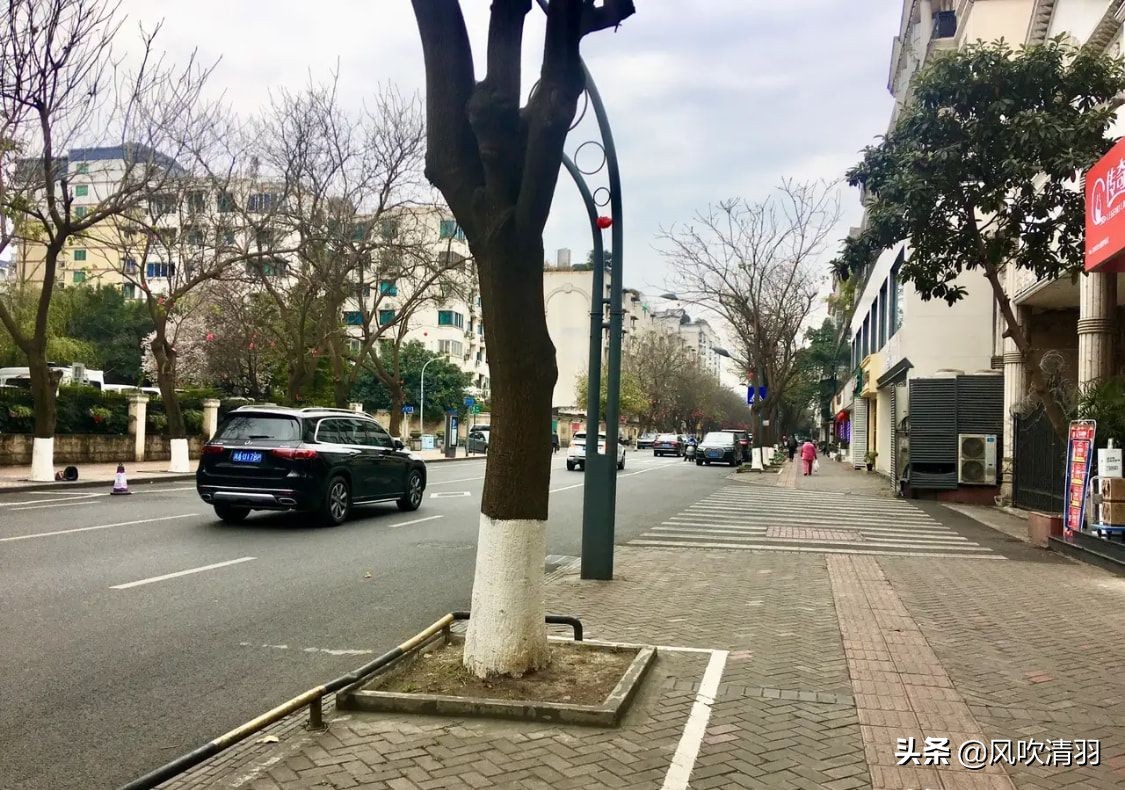 成都富人住宅区是哪里（成都富人区分布在哪里）(图3)