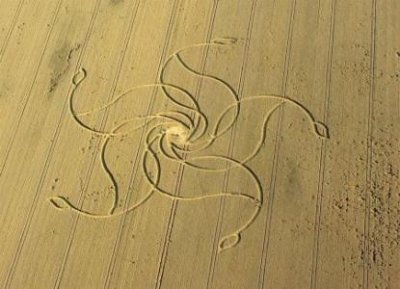 ​农村阿婆说最大的过山峰蛇可以长到十米长，这