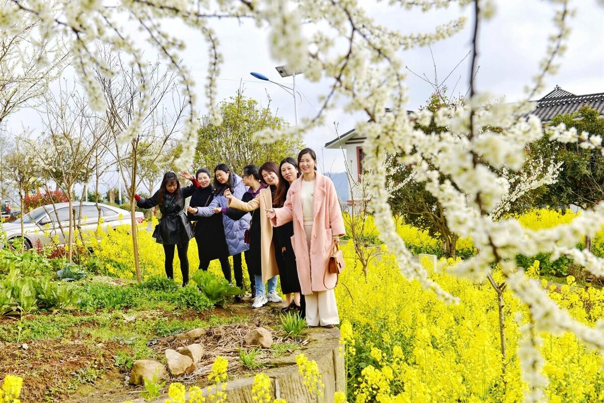 通江县属于哪个市(四川省通江县属于哪个市)