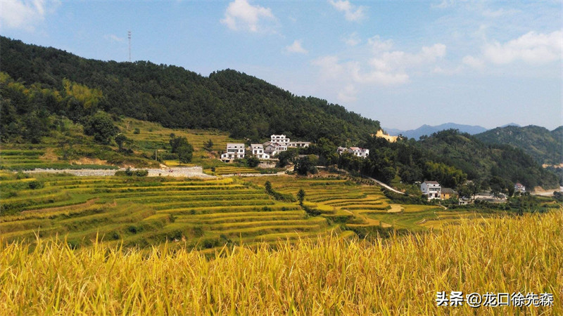 蕲春县属于哪个市(湖北省蕲春县属于哪个市)