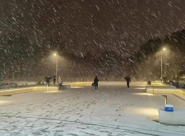 内蒙古东部最可能的自然灾害（内蒙古暴雪现雷打雪）(4)