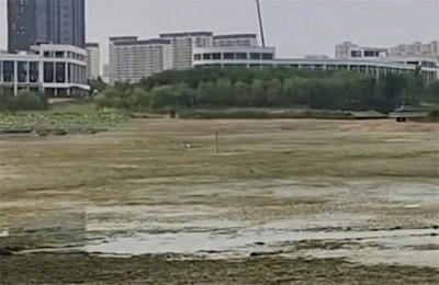 ​河南汝州“怪鱼”鳄雀鳝来者不善，专家：捕获后可制成标本警示他人