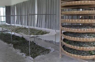​浙江丝绸博物馆标志性建筑物 金三塔是嘉兴众多丝绸品牌中一朵靓丽的奇葩
