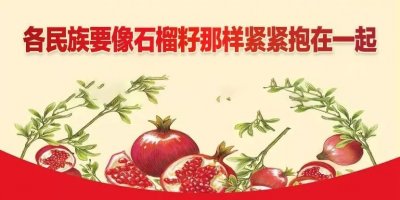 ​「发声亮剑」加强民族团结从我做起