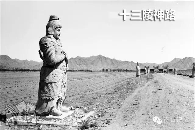 客家话傻婆怎样讲(熬鹰且呢虫吃牙)(10)