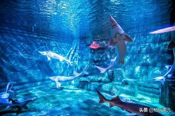 南京周边有什么好玩的地方(南京周边有什么好玩的地方自驾游)-图4 南京周边有什么好玩的地方(南京周边有什么好玩的地方自驾游)-图4