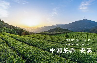 ​铁观音是哪里的特产（全国正宗铁观音茶产地是哪里）