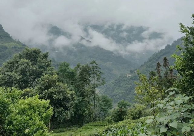贵阳有什么好玩的地方(贵阳景区大全挨个耍一周都不腻)