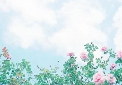 爆瘦怎么办?