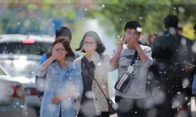 柳絮过敏怎么治疗