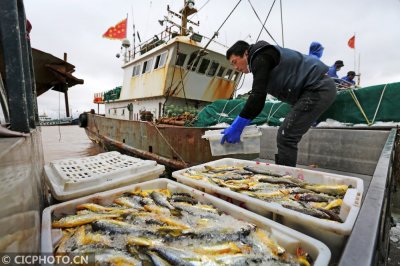 ​浙江舟山：各类海鲜销四方