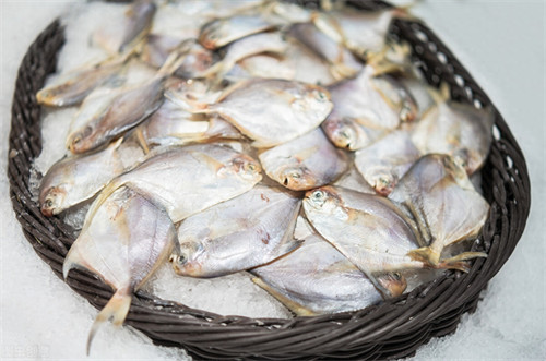 平鱼和鲳鱼的区别(平鱼和鲳鱼哪个好吃)