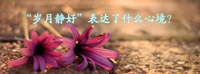 ​岁月静好表达了什么心境(岁月静好的含义是什么)