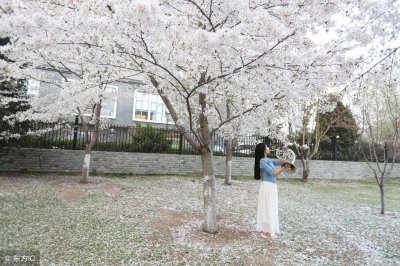 ​新编人生顺口溜，说的太好了，赶紧转给朋友们看看，建议收藏