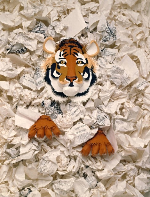 纸老虎指哪一类人(什么样的人是纸老虎)