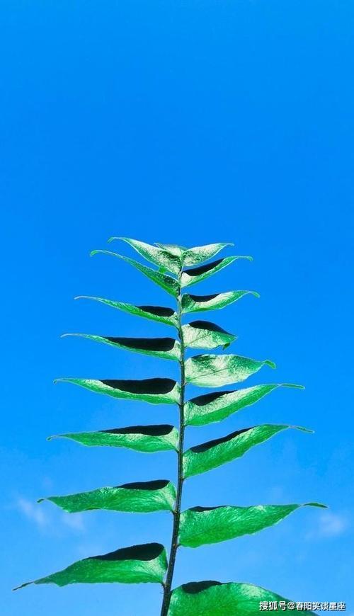 生活积极向上的图片 热爱生活积极向上的图片