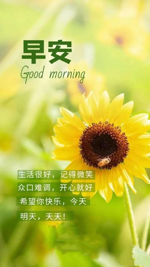 适合发朋友圈的生活图片 适合发朋友圈的生活句子图片