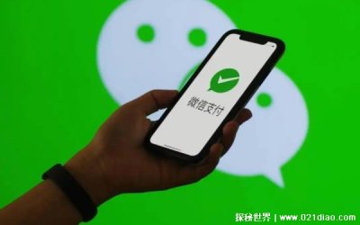 ​6步教你追回被骗的钱，支付宝微信操作步骤(诈骗金额高可立案)