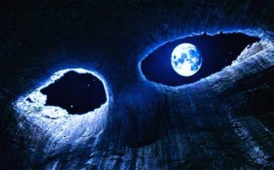 ​哈尔滨猫脸老太太真实事件真相