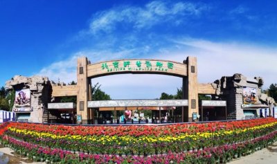 ​北京哪里能户外烧烤