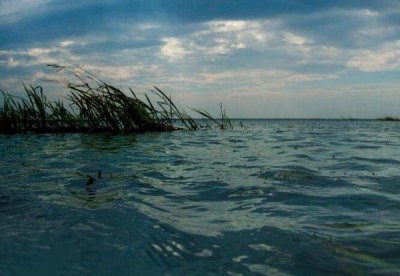 ​中国五大淡水湖面积排名：鄱阳湖面积3960平方公里