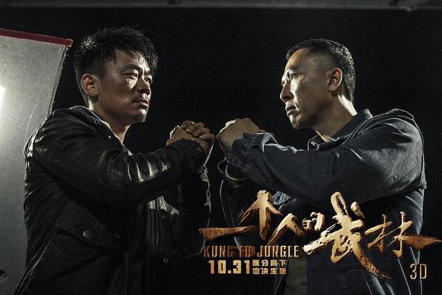 王宝强拍过电影有哪些(实力演员王宝强的六部作品)(4)