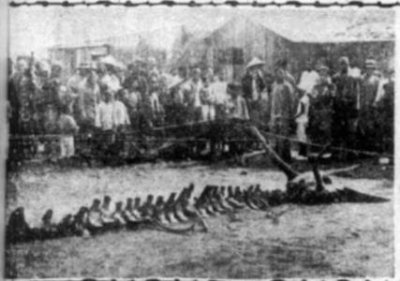 ​死后能找到阴间亲人吗？人死后真的会在阴间团聚吗？