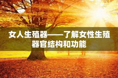 ​女人生殖器——了解女性生殖器官结构和功能
