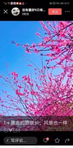 ​完美夫妻间的感情(完美的夫妻关系)