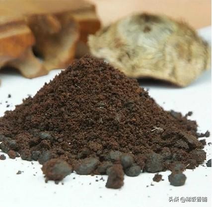 麝香是什么动物身上的哪个部位(到底什么是麝香?)