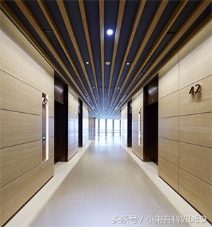 广州第一高楼广州周大福金融中心一览,建筑总高度530米