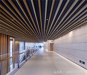 广州第一高楼广州周大福金融中心一览,建筑总高度530米