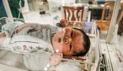 ​世界最大巨婴多少斤：36斤，2016年诞生于澳大利亚