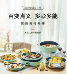 ​苏泊尔多功能电炒锅（苏泊尔多功能电炒锅价格图片）