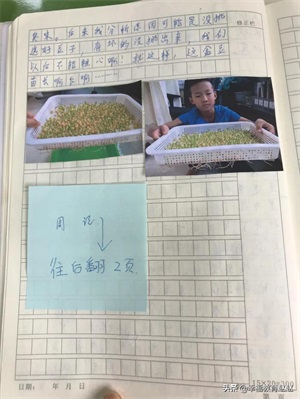 四年级观察日记(四上•连续观察日记12篇)