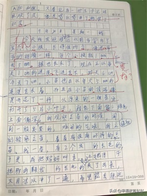 四年级观察日记(四上•连续观察日记12篇)