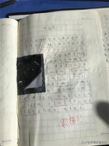 ​四年级观察日记（四上•连续观察日记12篇）