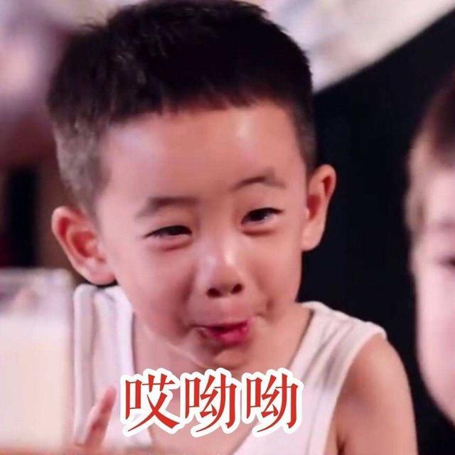 快手莉哥和虎牙高管(莉哥直播痛哭认错)(2)