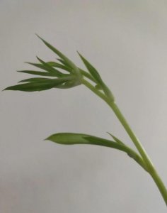 ​大男子主义的男人表现(我要觉得不要你觉得)