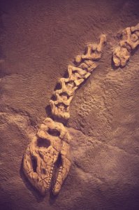 ​人类忽然灭绝的十大可能原因