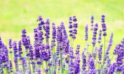 ​在你最美的时候你遇见了谁