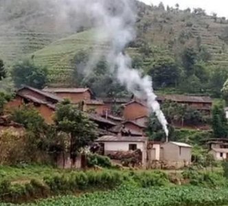 ​种种菜长,养养鸡的感言(种菜养鸡悠闲生活)