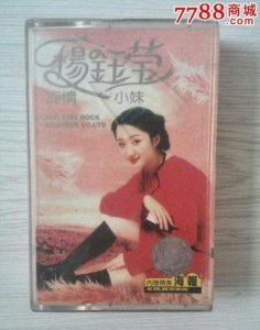 ​杨钰莹的演唱会2015年(杨钰莹南昌演唱会视频)