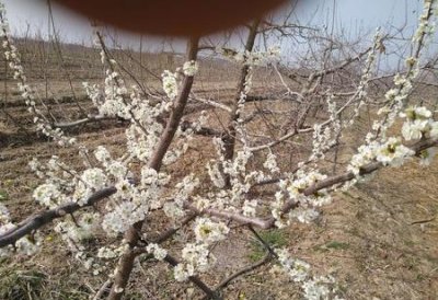 ​再婚的烦恼(二婚女人再婚后的心态)