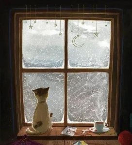 ​猫咪死在家里(养猫会带来霉运吗)