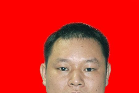 杨小宝传奇大结局